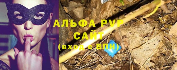 гашик Елабуга