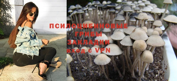 не бодяженный Ельня